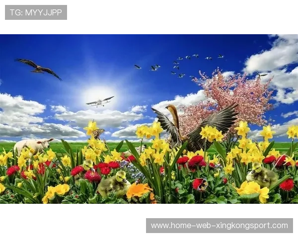 逆境中奋力拼搏，最终能突围吗？，逆境中奋发